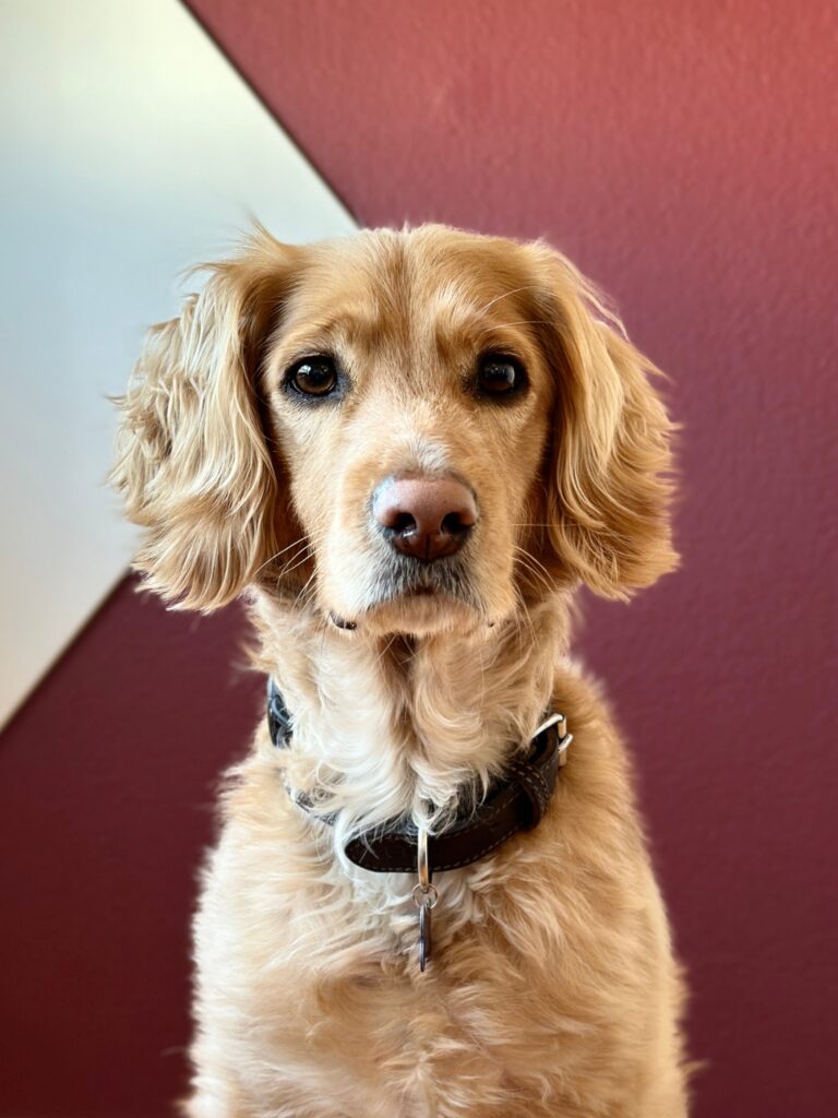 Portrait Carlos